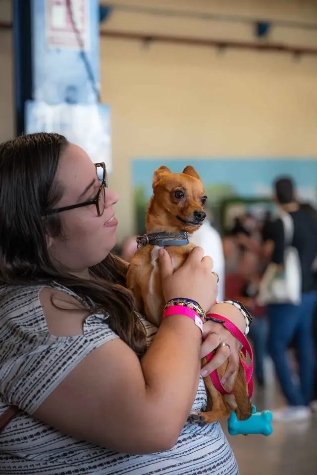 Adopta un Pana, primera edición · foto 6