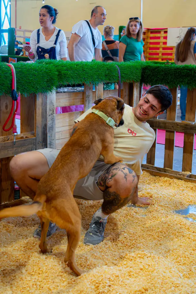 Adopta un Pana, primera edición · foto 51