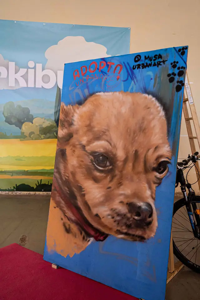 Adopta un Pana, primera edición · foto 52