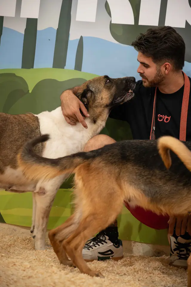 Adopta un Pana, primera edición · foto 95