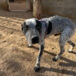 PHOTO-2025-12-22-19-00-29