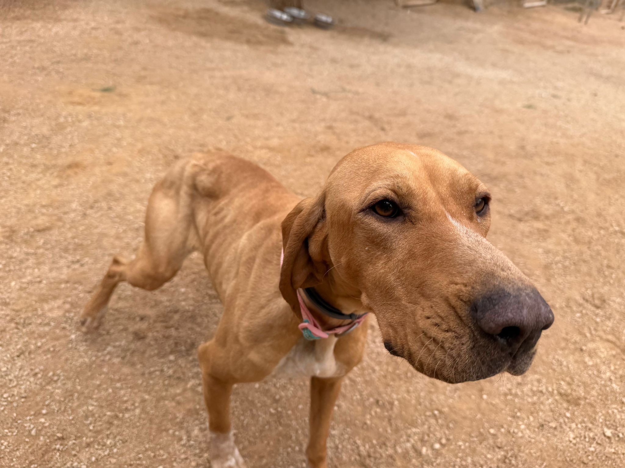 e2d35cec-280d-4d0e-8ba9-c1c7ab3398be